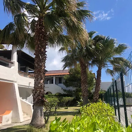 L'orchidea Delle Eolie *
