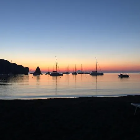 L'orchidea Delle Eolie Vulcano (Isola)